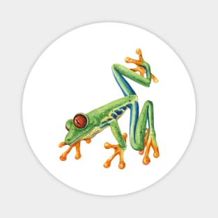 Dart frog Magnet